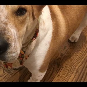 Meet your Posher, Marcos